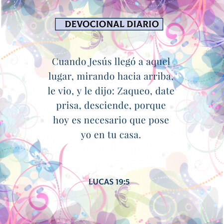 rsz_devocional-diario-lucas19-5-dev