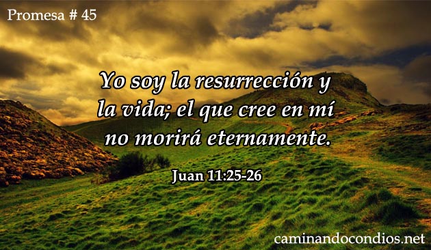 Promesa # 45: Soy Resurrección y Vida.