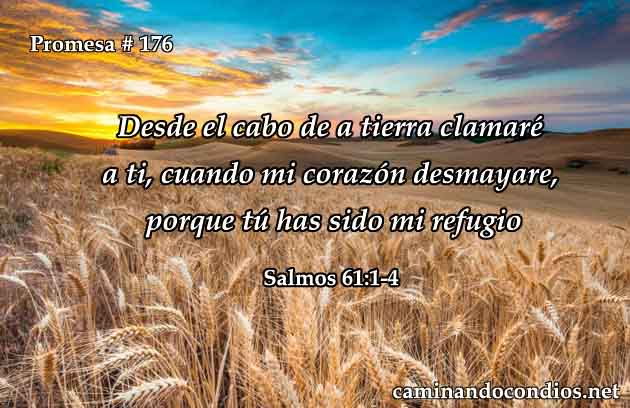 salmos 61:1-4