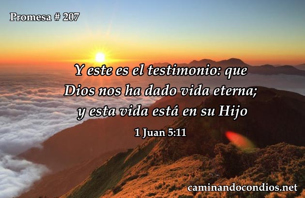 1 Juan 5:11