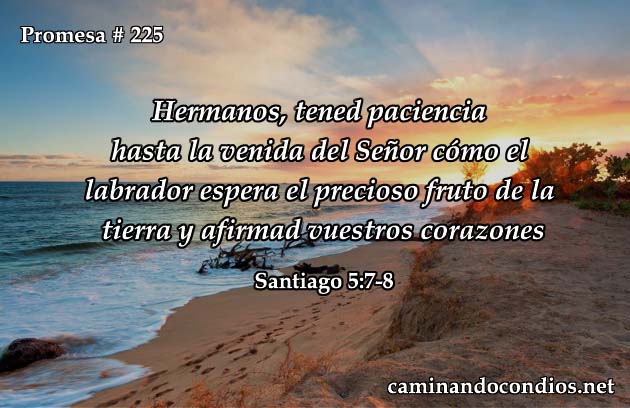 Santiago 5:7-8