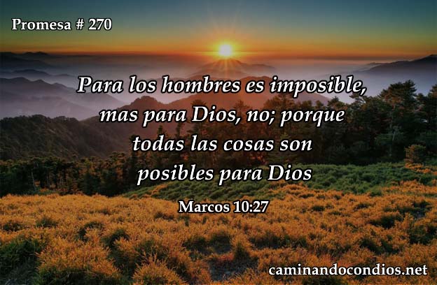 Promesa # 270: Nada es Imposible