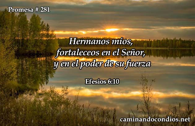 Promesa # 281: Fortaleza en El Señor