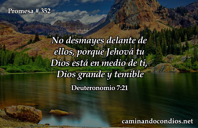 Promesa # 352: No Desmaye, Dios Te Acompaña