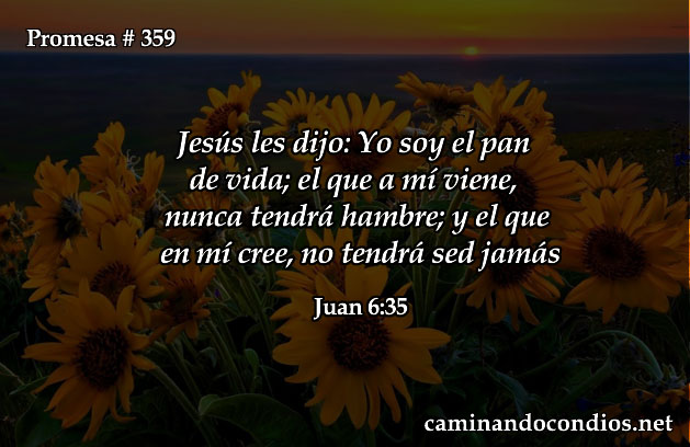 Juan 6:35