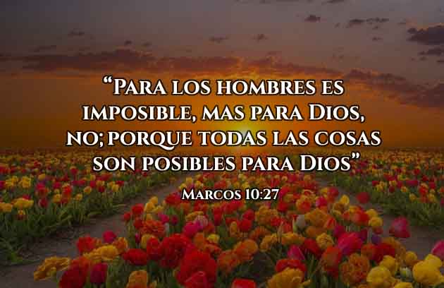 Promesa de Hoy: No Hay Imposibles Para Dios