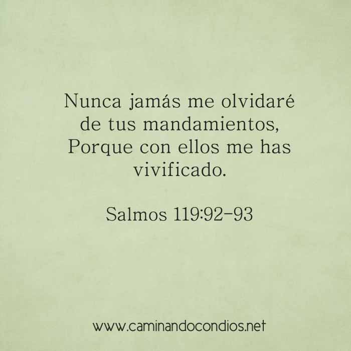 salmos119-92-93-dev