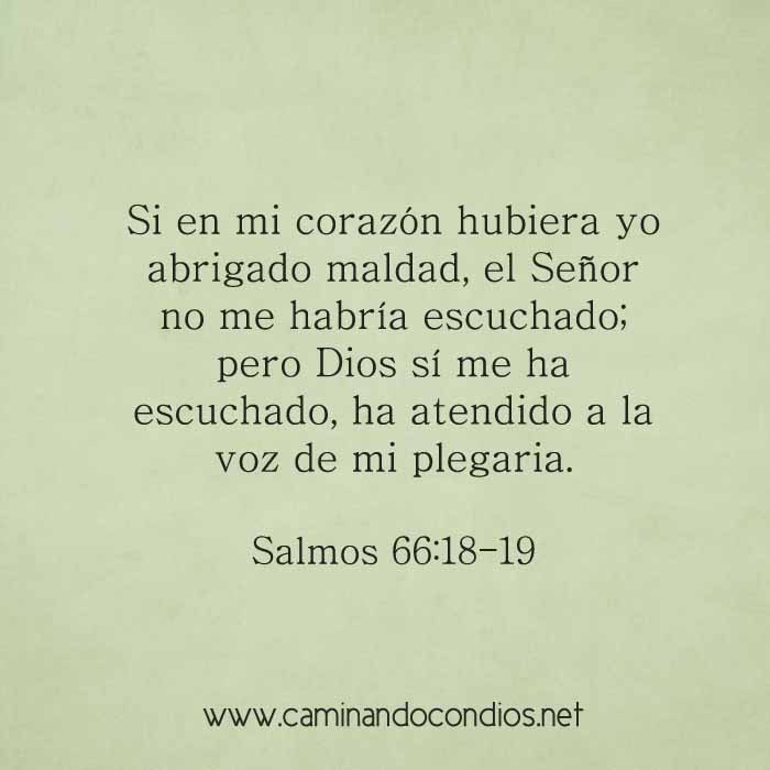 salmos661819-dev