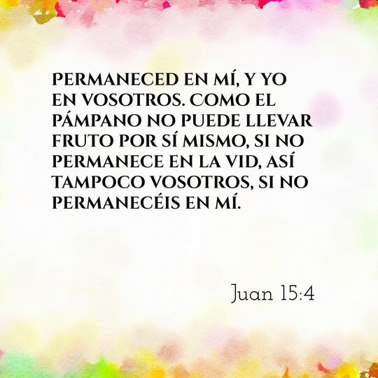Comentario Diario #240: Juan 15:4