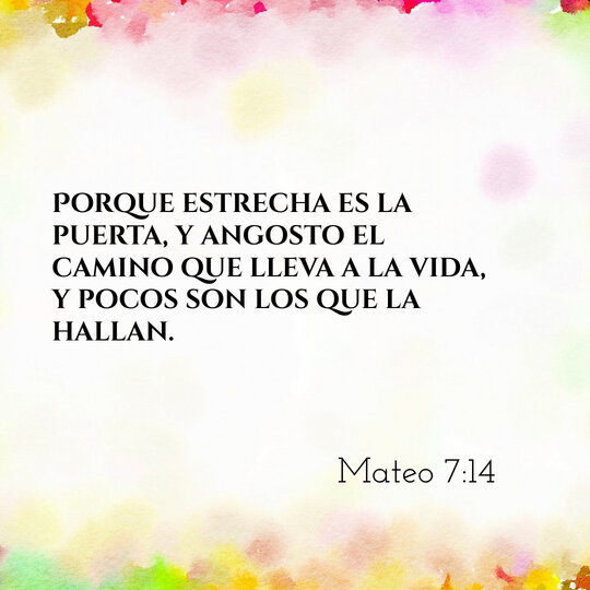 Comentario Diario #273: Mateo 7:14