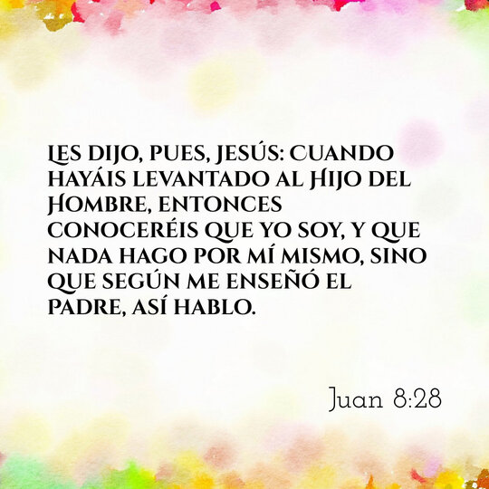 Comentario Diario #216: Juan 8:28