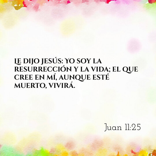 Comentario Diario #221: Juan 11:25