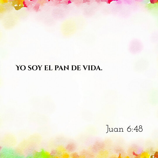 Comentario Diario #217: Juan 6:48