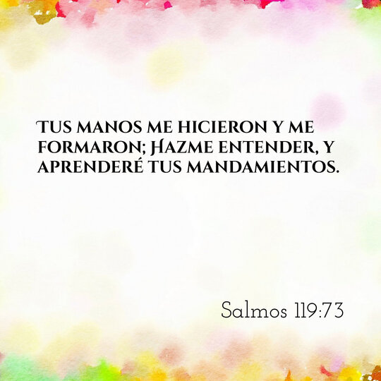Comentario Diario #204: Salmos 119:73
