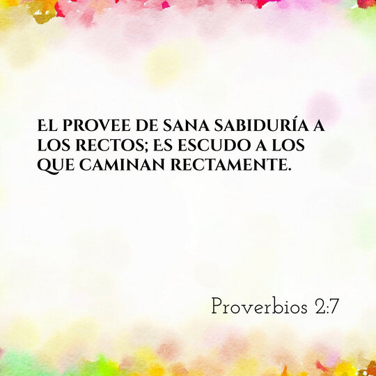Comentario Diario #210: Proverbios 2:7