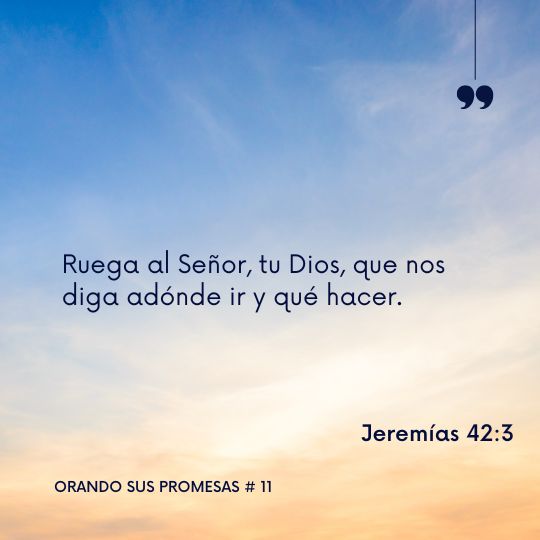 Orando la promesa #11: Jeremías 42:3