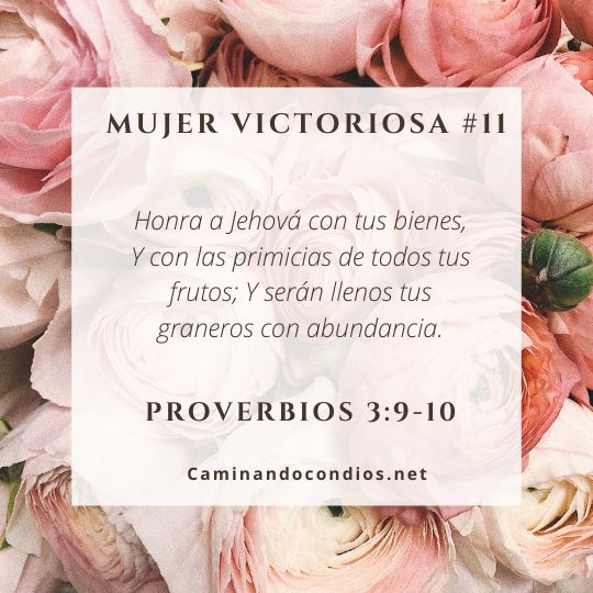 Proverbios3910-dev