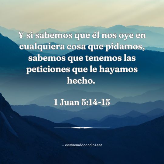 1 Juan 514-15