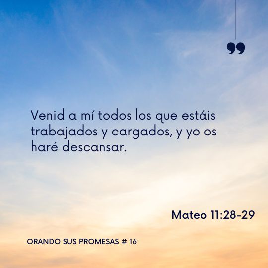 Mateo-11-28-29