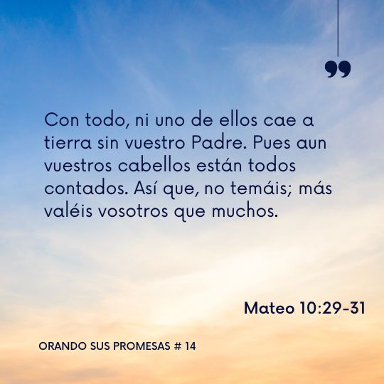 Orando la promesa #14: Mateo 10:29-31