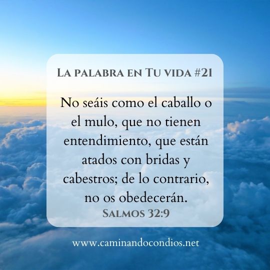 Salmos32-9-ddev