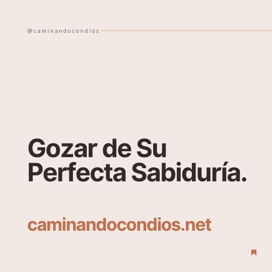 DIOS todo lo puede #89: Gozar de Su Perfecta Sabiduría