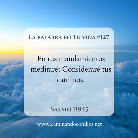 La Palabra en Tu Vida#127: Tiempo para meditar