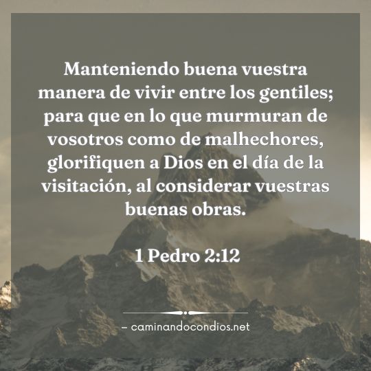 Gotas de sabiduría #148: Que vean a Cristo en Ti.