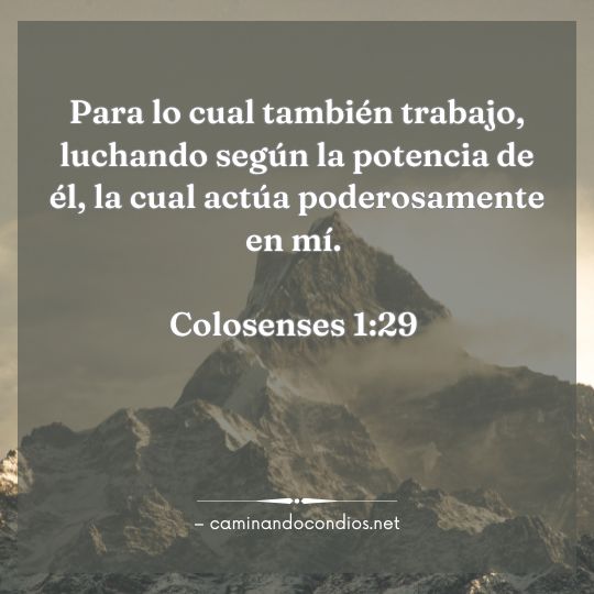 Gotas de sabiduría #151: Fuerza para todos