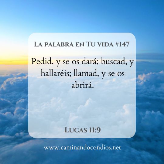 La Palabra en Tu Vida#147: Confiar y persistir