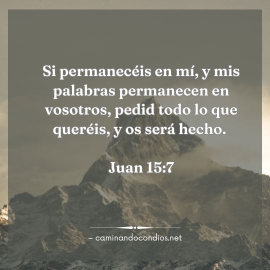 Gotas de sabiduría #163: Cristo si puede