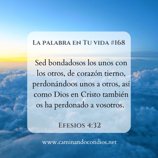 La Palabra en Tu Vida#168: Suelta el dolor