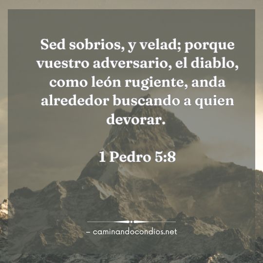Gotas de sabiduría #178: Mantente alerta