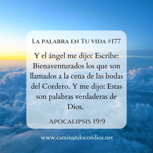 La Palabra en Tu Vida#177: Es verdadera Palabra