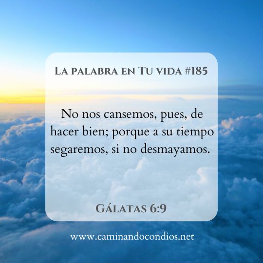 La Palabra en Tu Vida#185: Perseverar en el bien