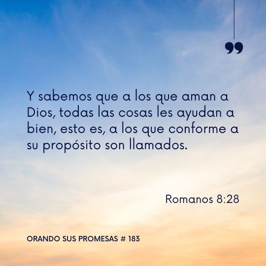 Orando la promesa #183: En todo