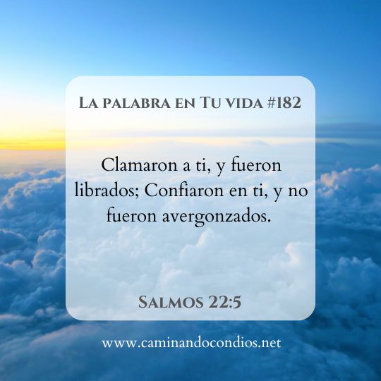 La Palabra en Tu Vida#182: No serás avergonzado