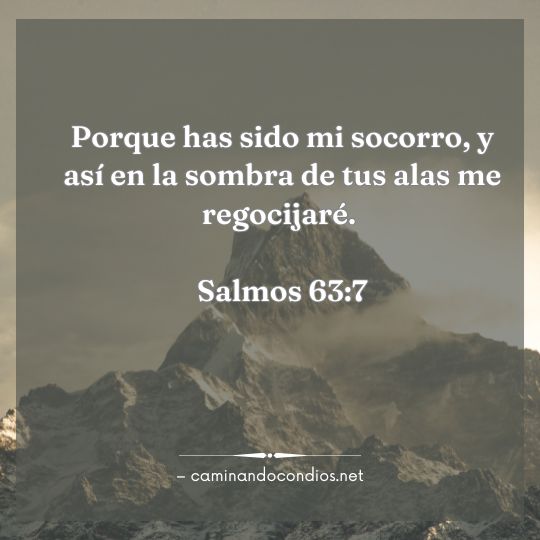 Gotas de sabiduría #188: Gozo Agradecido