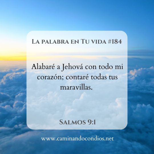 La Palabra en Tu Vida#184: Contando bendiciones.