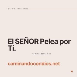 Versículos Bíblicos para Hoy # 193 Deuteronomio 1:30: Él Pelea por Ti