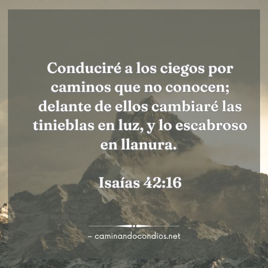 Gotas de sabiduría #191: Confía en Su Plan