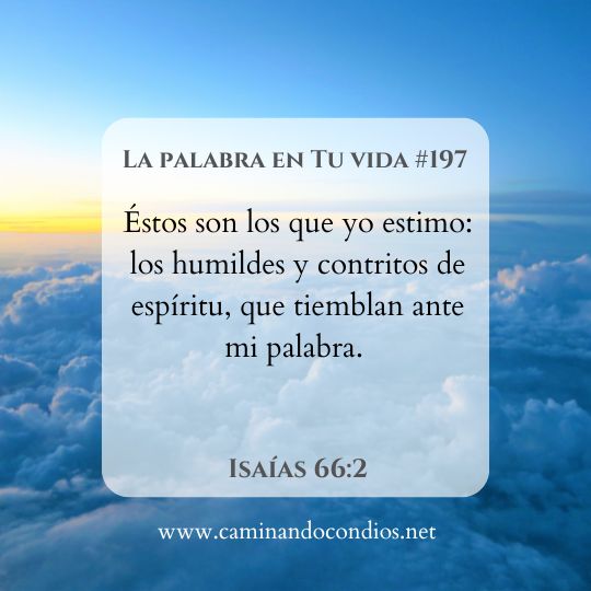 La Palabra en Tu Vida#197: Busca con humildad