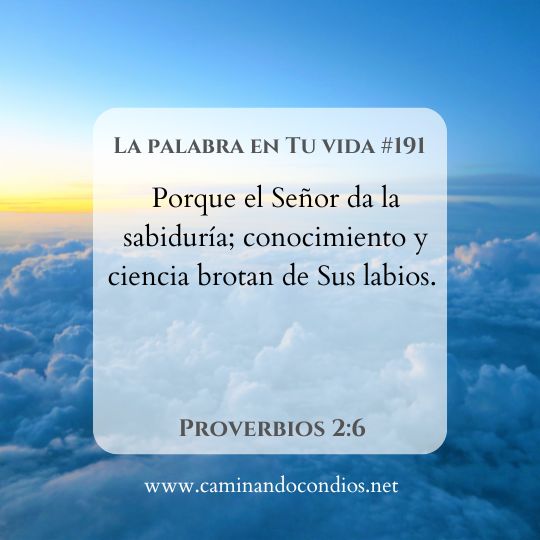 La Palabra en Tu Vida#191: Confía en Su Sabiduría