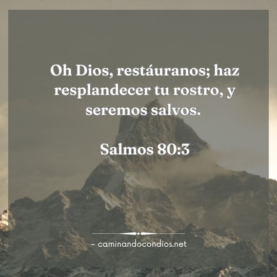 Gotas de sabiduría #189: Tiempo para descansar