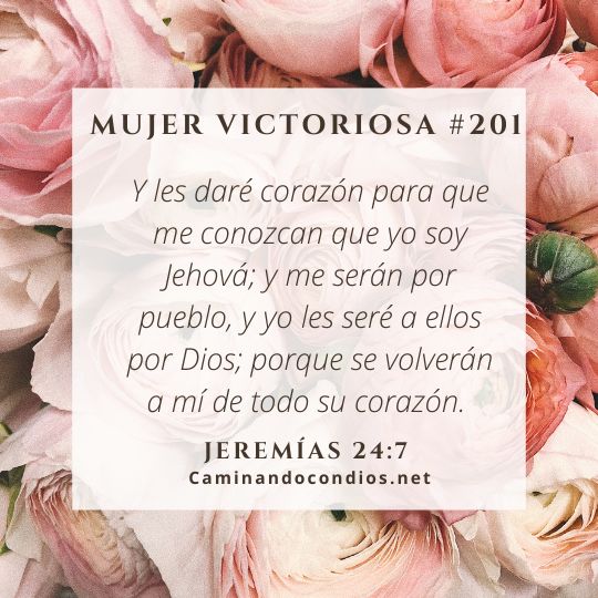 Mujer victoriosa #201: Busca conocerle más