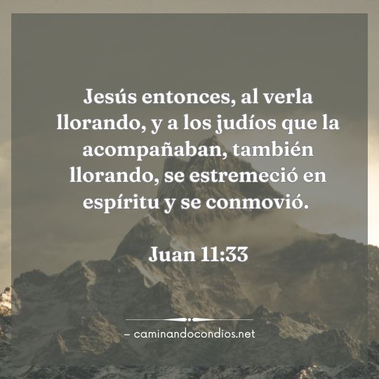 Gotas de sabiduría #205: Tu dolor no es desconocido