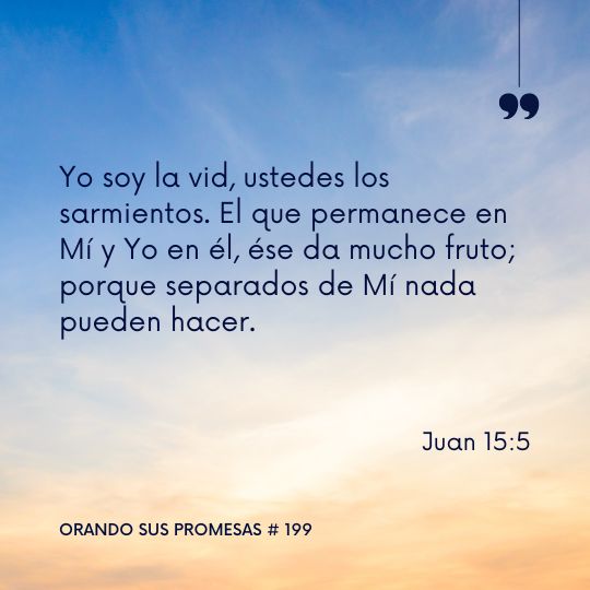 Orando la promesa #199: No te separes de la vid