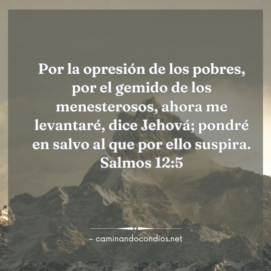 Gotas de sabiduría #206: Dios siempre proveerá