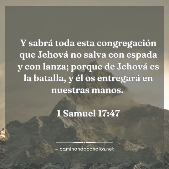 Gotas de sabiduría #212: Desafíos gigantes