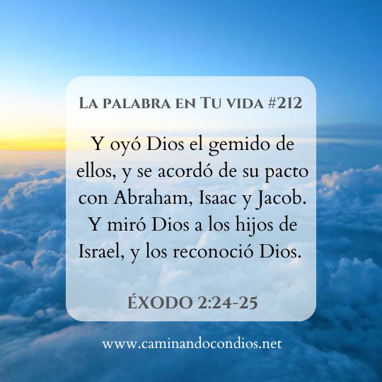 La Palabra en Tu Vida#212: Decide confiar